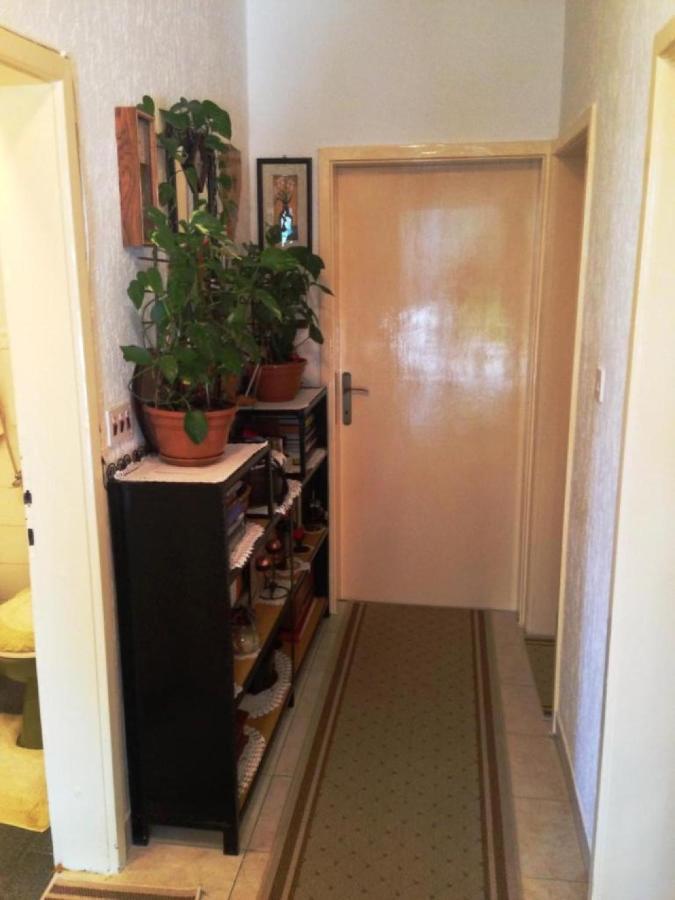 Guest House Ruza Dubrovnik Ngoại thất bức ảnh